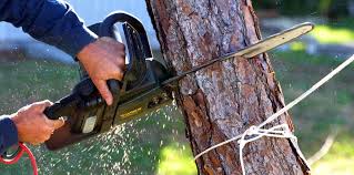 Best Soil Testing and Treatment  in Matoaca, VA