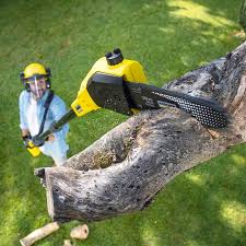 Leaf Removal in Matoaca, VA