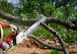 Best Lawn Watering Services  in Matoaca, VA