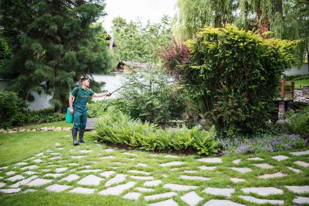 Best Tree Health Inspection  in Matoaca, VA